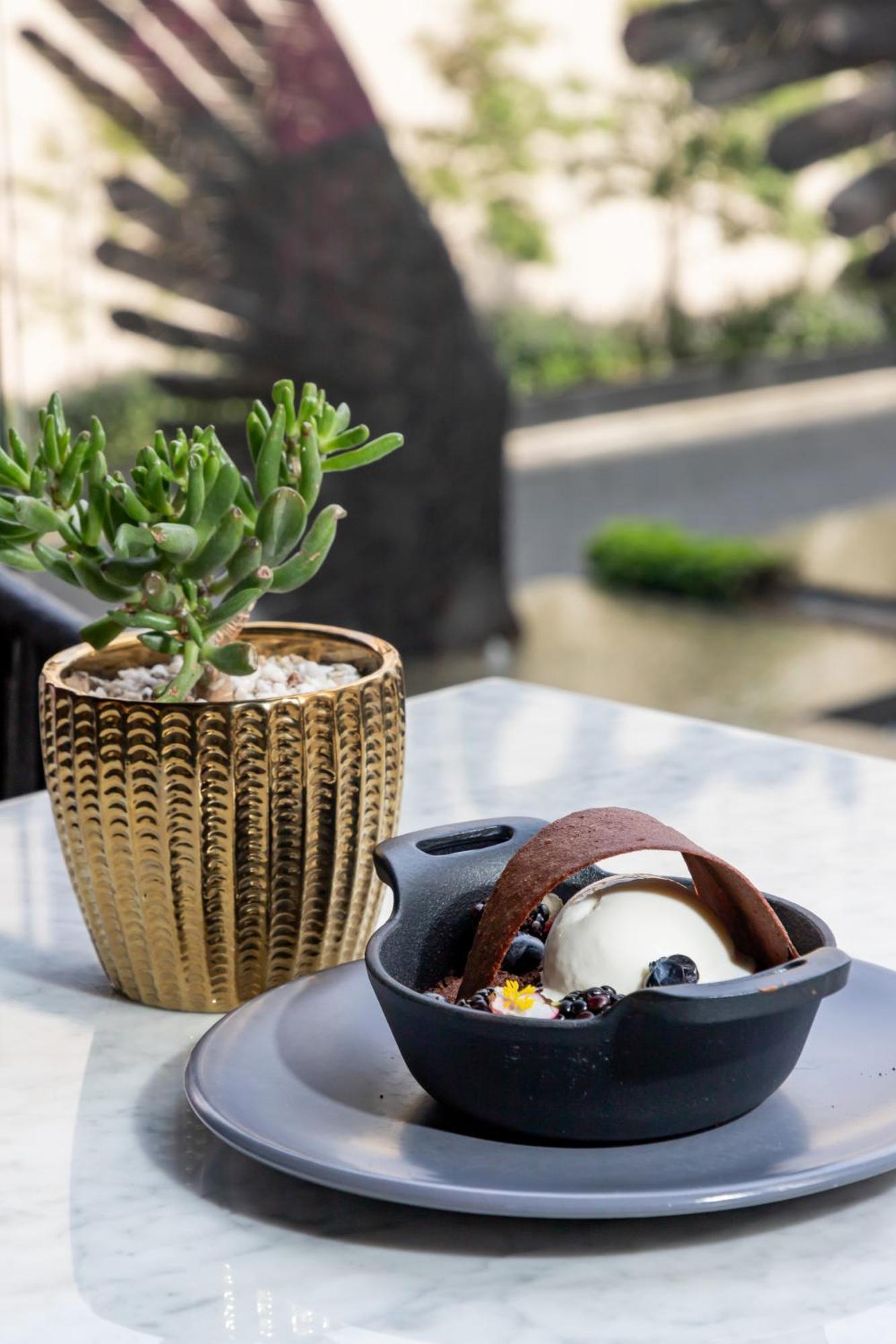 Hyatt Regency Andares Guadalajara Otel Zapopan Dış mekan fotoğraf A plant in a gold pot